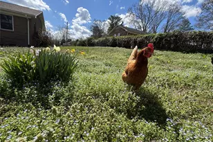 2200 Simmons St, Gastonia, NC 28052 - Photo 35