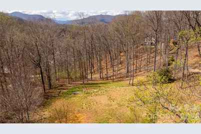 90 Last Coyote Trail, Canton, NC 28716 - Photo 9