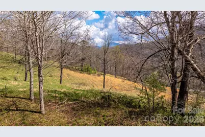 90 Last Coyote Trail, Canton, NC 28716 - Photo 15