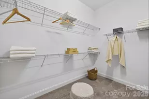 18018 Grey Mossrun Dr, Charlotte, NC 28278 - Photo 11