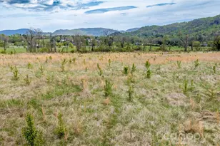 1720 Cane Creek Rd, Fletcher, NC 28732 - Photo 13