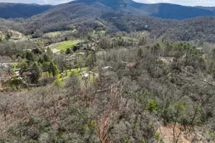 54 S Kimiko Ln, Balsam Grove, NC 28708 - Photo 33