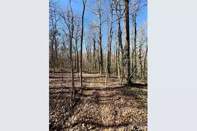 1417 Ellis Griffin Road, Wingate, NC 28174 - Photo 5