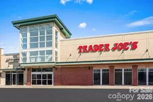 1016 Bella Grv Ln, Charlotte, NC 28262 - Photo 9