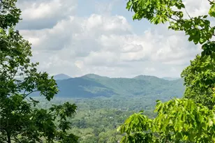 106 McCauley Dr, Asheville, NC 28803 - Photo 37