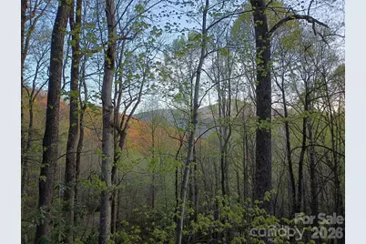 662 Locust Drive, Maggie Valley, NC 28751 - Photo 33