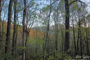 662 Locust Dr, Maggie Valley, NC 28751 - Photo 33