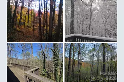 662 Locust Drive, Maggie Valley, NC 28751 - Photo 29