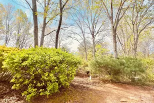 27 Magnolia Dr, Nebo, NC 28761 - Photo 5