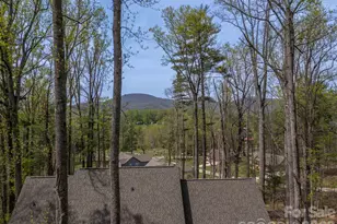 88 Pounding Mill None, Hendersonville, NC 28792 - Photo 43