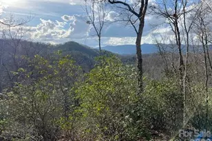 646 Fontana Ridge Rd, Bryson City, NC 28713 - Photo 11