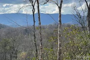 646 Fontana Ridge Rd, Bryson City, NC 28713 - Photo 9