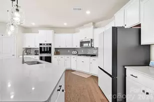 13005 Cinnamon Fern Ln, Mint Hill, NC 28227 - Photo 11