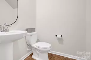 13005 Cinnamon Fern Ln, Mint Hill, NC 28227 - Photo 23