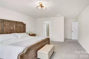 13005 Cinnamon Fern Ln, Mint Hill, NC 28227 - Photo 19