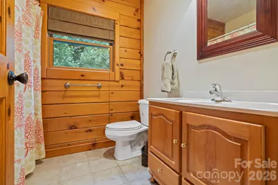 266 Rhododendron Drive, Saluda, NC 28773 - Photo 19