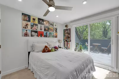 336 Twinflower Lane, Charlotte, NC 28205 - Photo 31