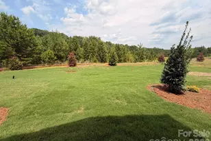 450 Blythe Townhome Ln, Waxhaw, NC 28173 - Photo 19