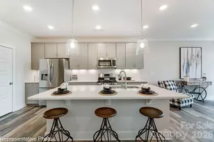 454 Blythe Townhome Ln, Waxhaw, NC 28173 - Photo 3