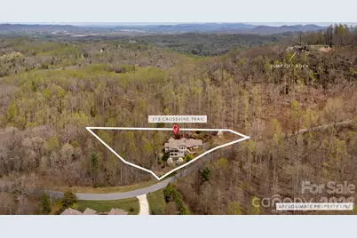 315 Crossvine Trail, Hendersonville, NC 28739 - Photo 45