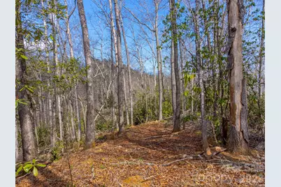 254 Ivory Lane, Sylva, NC 28779 - Photo 35