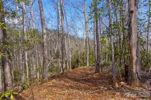 254 Ivory Ln, Sylva, NC 28779 - Photo 35