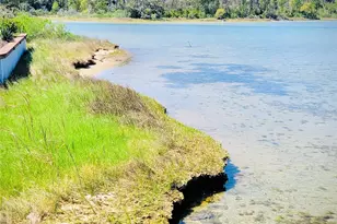 211 Fannie Creek Ln, Sneads Ferry, NC 28460 - Photo 43