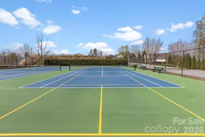 162 Preserve Court, Hendersonville, NC 28791 - Photo 33