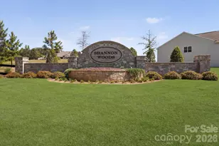 7038 Juneberry Way, Maiden, NC 28650 - Photo 27