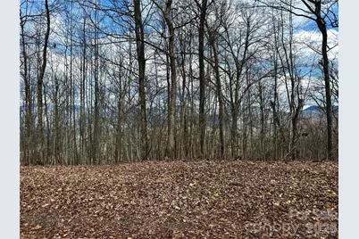 00 Lone Oak Ridge #42, Franklin, NC 28734 - Photo 13