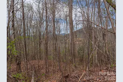 137 & 145 Cedar Mountain Road, Asheville, NC 28803 - Photo 3