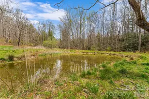 628 Brush Creek Rd, Fairview, NC 28730 - Photo 3