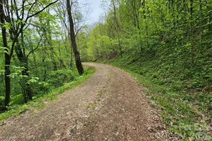 604 Croft View Dr, Bakersville, NC 28705 - Photo 47