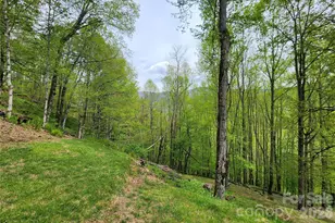 604 Croft View Dr, Bakersville, NC 28705 - Photo 13