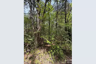 00 Hightower Road, Richburg, SC 29729 - Photo 3