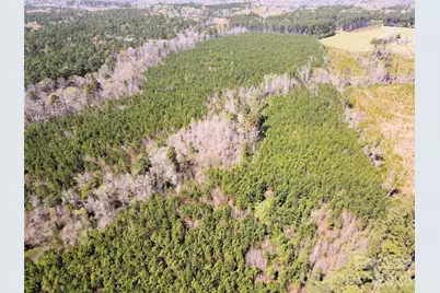 01 Collins Mountain Road, Chapel Hill, NC 27516 - Photo 5