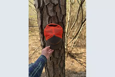 01 Collins Mountain Road, Chapel Hill, NC 27516 - Photo 23