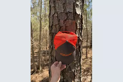 01 Collins Mountain Road, Chapel Hill, NC 27516 - Photo 21