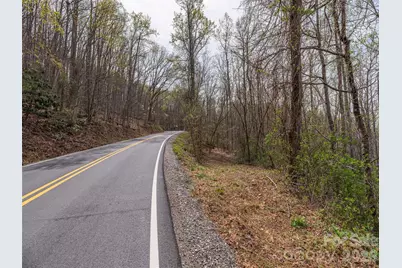 111 & 125 Cedar Mountain Road, Asheville, NC 28803 - Photo 3