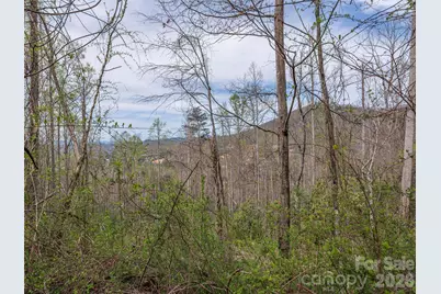 111 & 125 Cedar Mountain Road, Asheville, NC 28803 - Photo 5