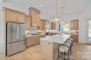 612 American Bittern Way, Clover, SC 29710 - Photo 5