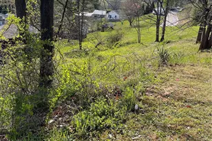 00 Locust St, Canton, NC 28716 - Photo 1