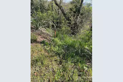 00 Locust Street, Canton, NC 28716 - Photo 5