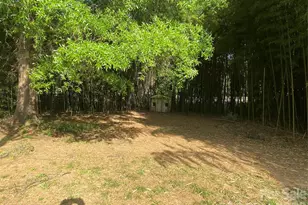 102 McDowell St, Great Falls, SC 29055 - Photo 5