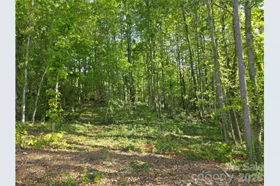 55 Cypress Road, Marion, NC 28752 - Photo 37