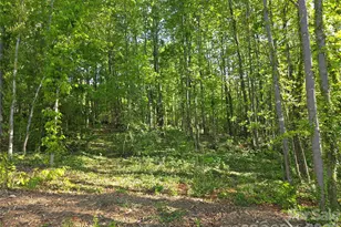 55 Cypress Rd, Marion, NC 28752 - Photo 37