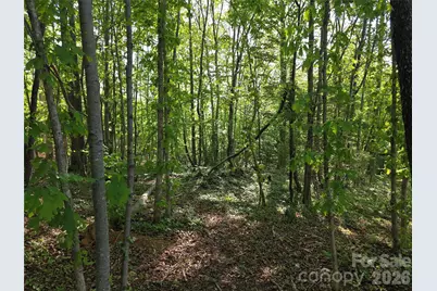 55 Cypress Road, Marion, NC 28752 - Photo 35