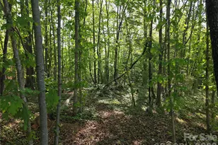 55 Cypress Rd, Marion, NC 28752 - Photo 35