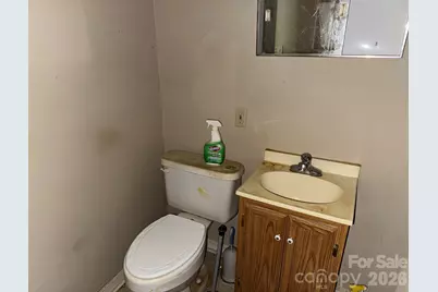 145 W Burnsville Street, Wadesboro, NC 28170 - Photo 29