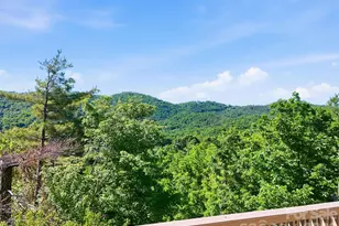 68 Stony Ridge, Asheville, NC 28804 - Photo 31